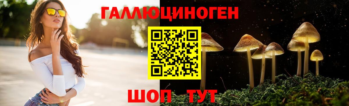 Псилоцибиновые грибы GOLDEN TEACHER  Псилоцибиновые грибы MAGIC MUSHROOMS  Вход с VPN  Ижевск 